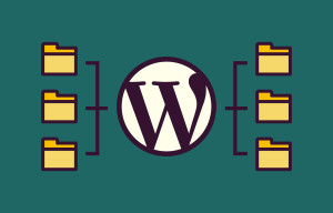 Some news about the WordPress plugins